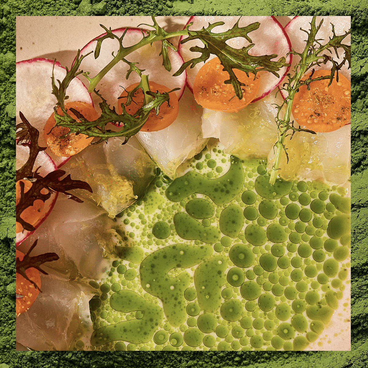 plated crudo at matcha dinner